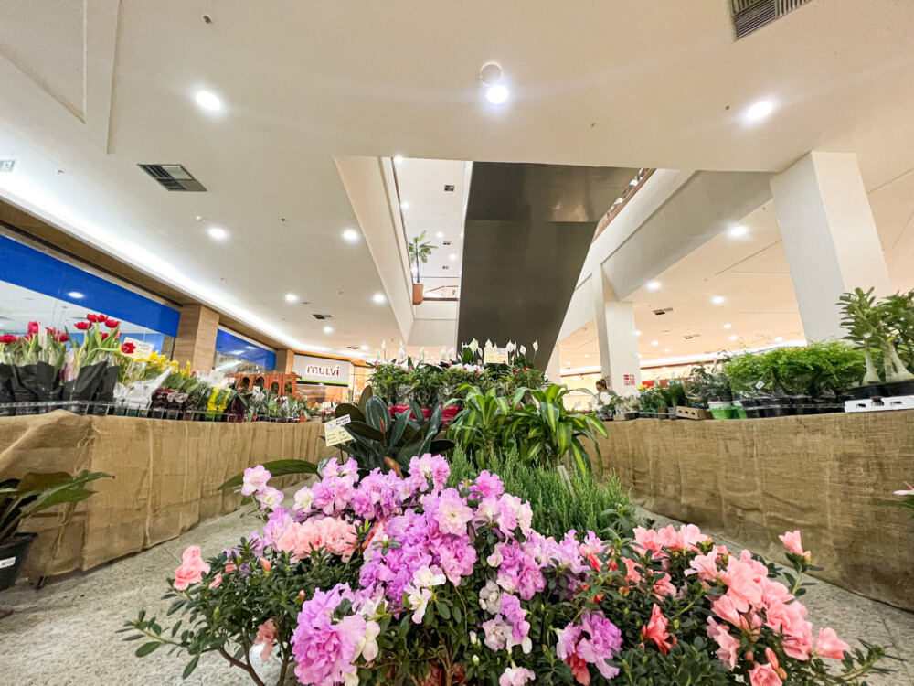 Feira de Flores de Holambra chega ao Maceió Shopping