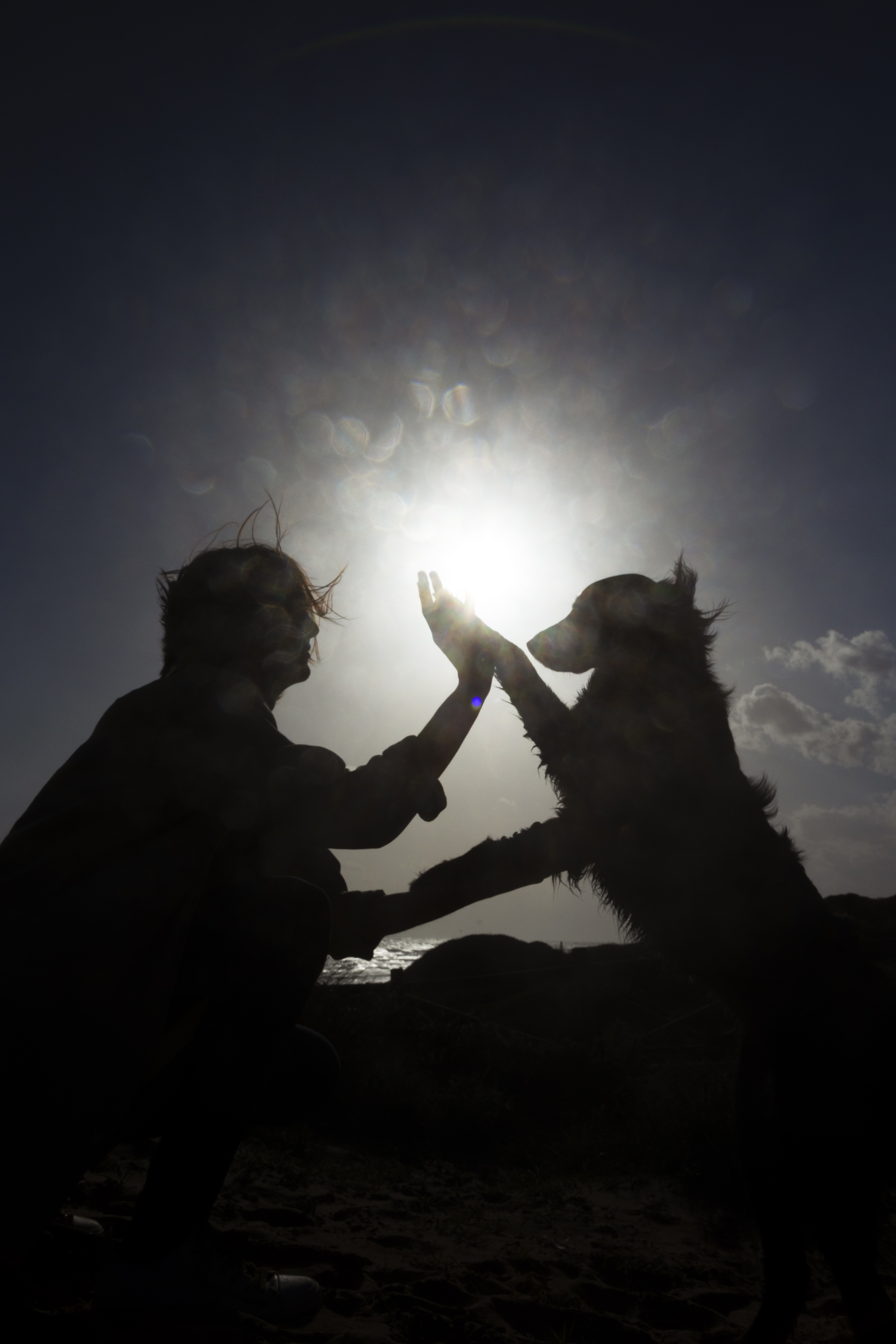 Conexões Inesperadas: Quando o Universo dos Pet Shops Abraça a Espiritualidade