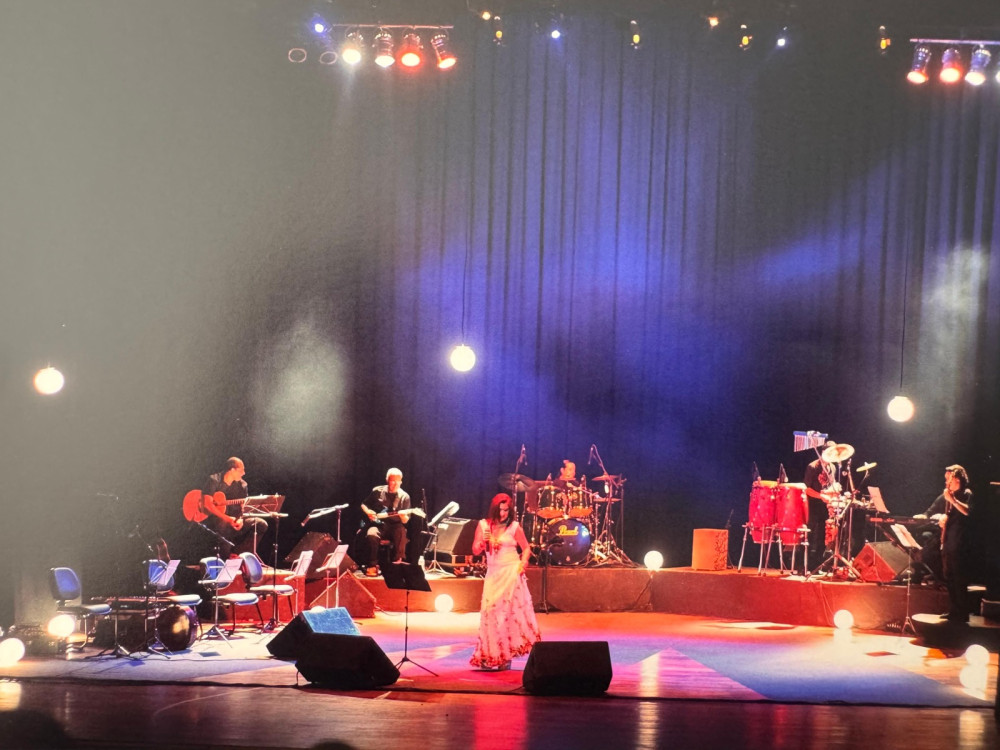 Wilma comemora 20 anos do álbum  Beleza Delicadeza com show no Homerinho