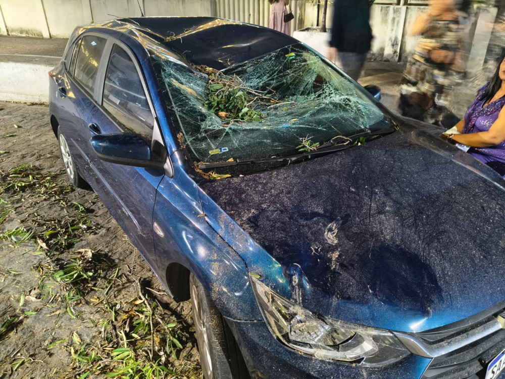 Ventania derruba árvore e atinge carro durante casamento no Corredor Vera Arruda